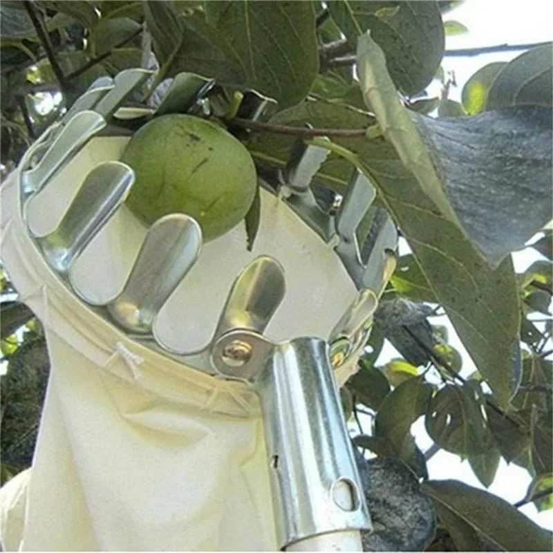 Boerderij Fruitplukker Tuin Bo - Grow Bags recensie en prijs