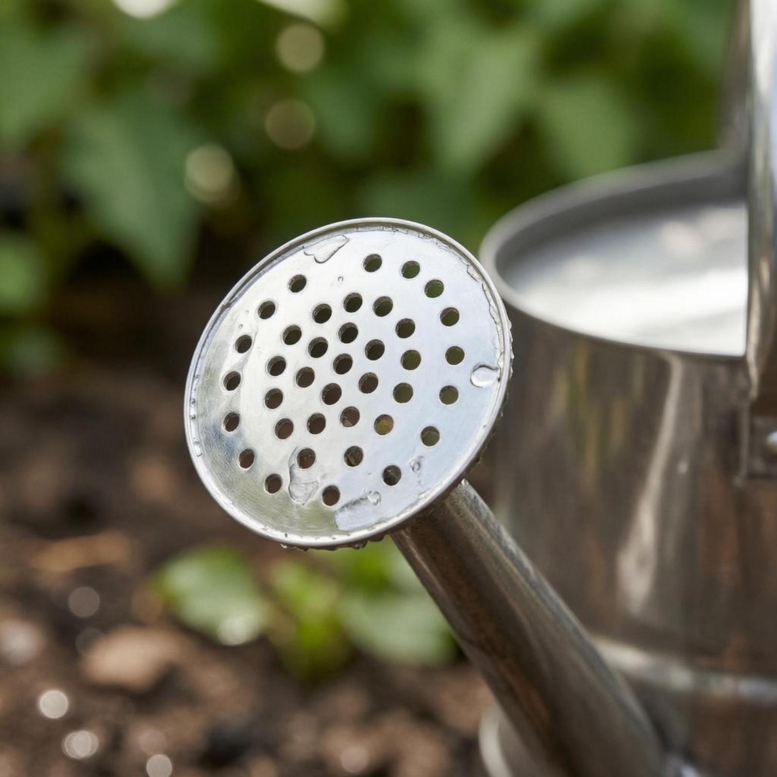 Tuinbloemen gieter van roestvr - Gardening Tools Watering Can recensie en prijs