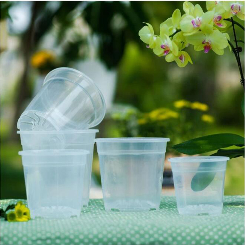 7/10/12Cm Transparante Harde P - Orchid Potting Mix recensie en prijs