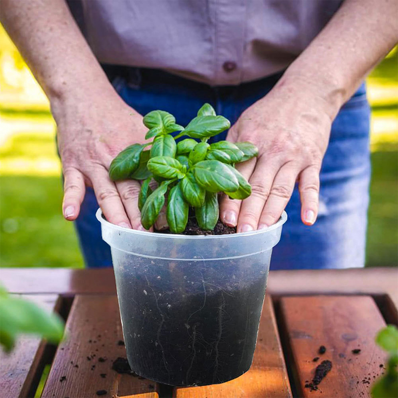 7/10/12Cm Transparante Harde P - Orchid Potting Mix recensie en prijs
