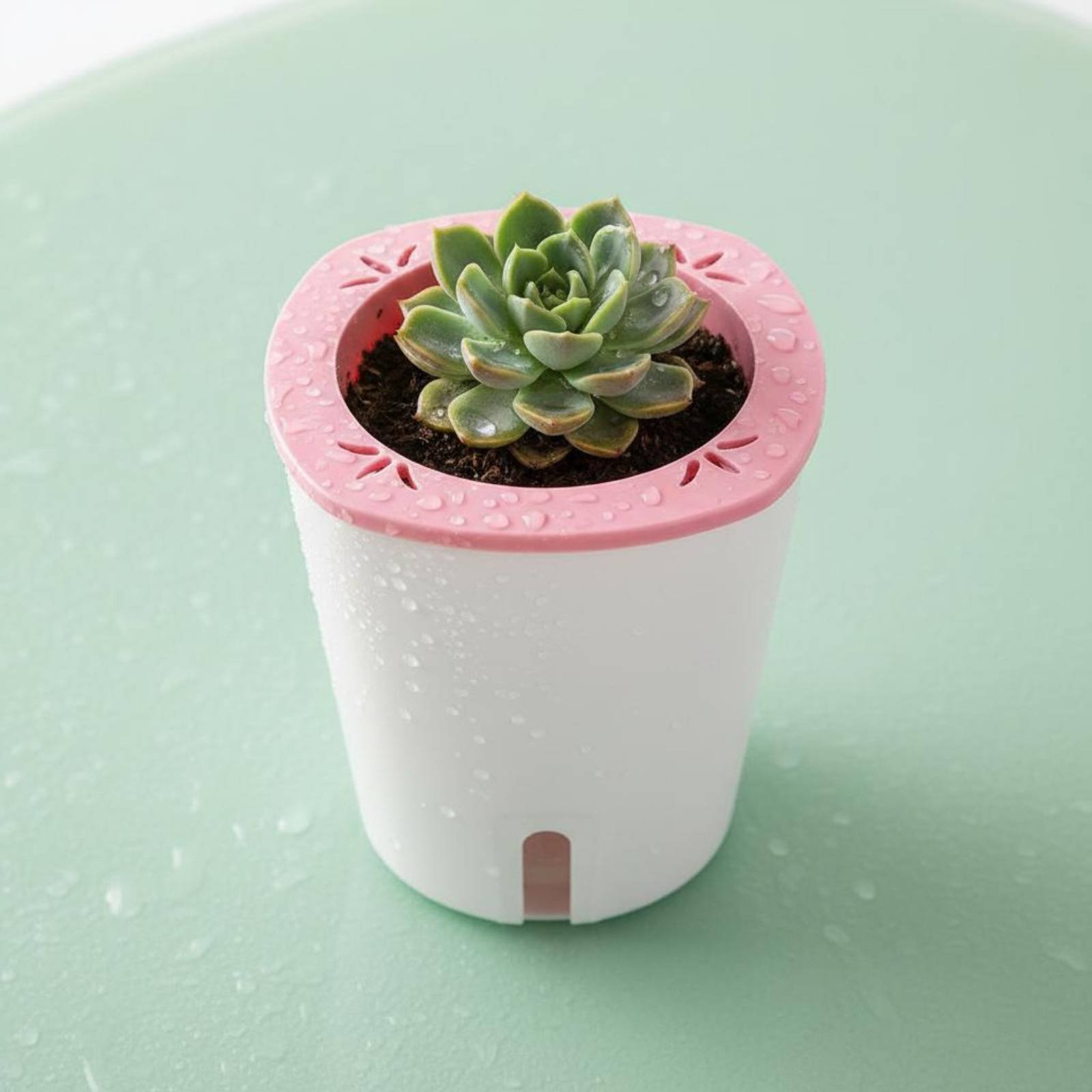 Zelfwatergevende plantenbak Gr - Self-Watering Planter recensie en prijs