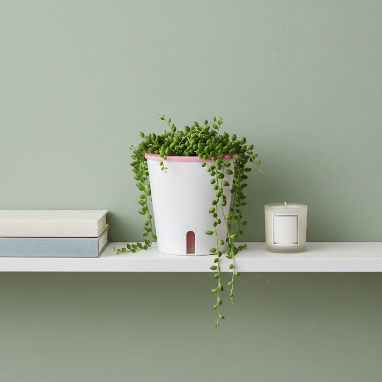 Zelfwatergevende plantenbak Gr - Self-Watering Planter recensie en prijs