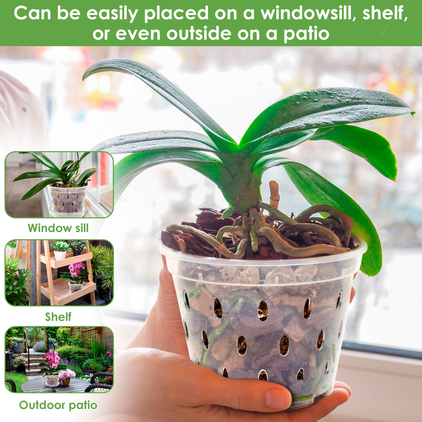 5 Stuks Orchidee Pot Voor Verp - Orchid Potting Mix recensie en prijs