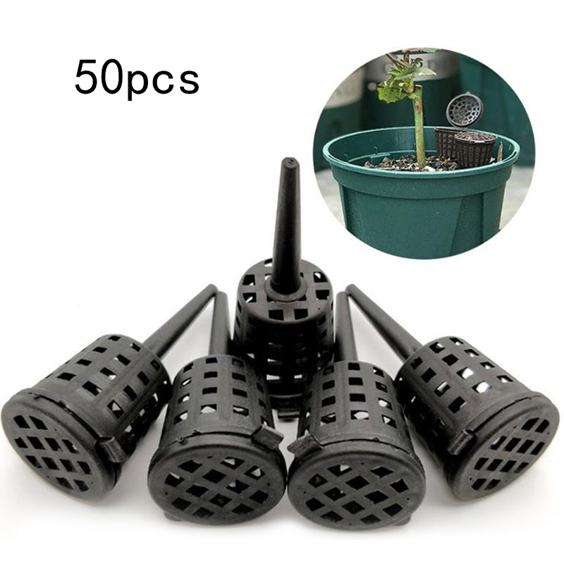 50 Stks/pak Planten Kunstmestm - Orchid Potting Mix recensie en prijs
