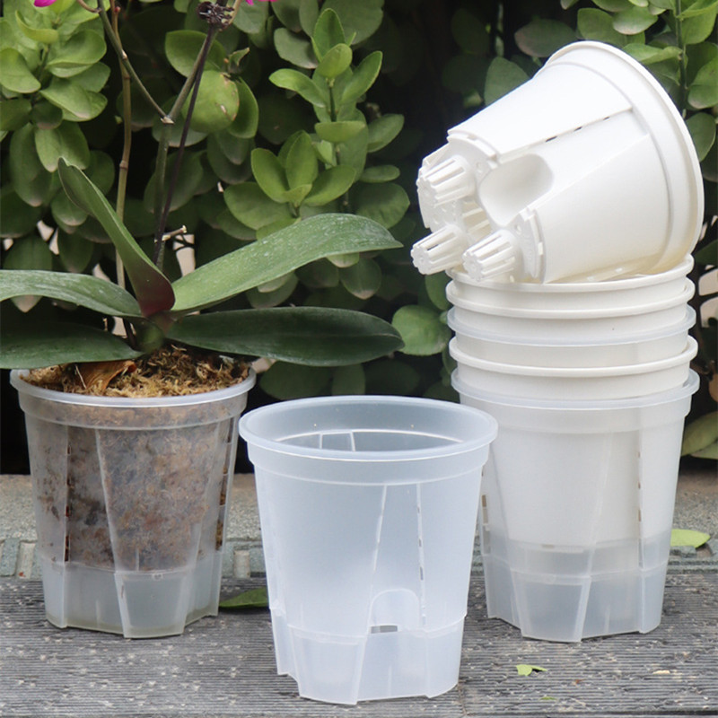 5 stks Transparante Orchidee P - Orchid Potting Mix recensie en prijs