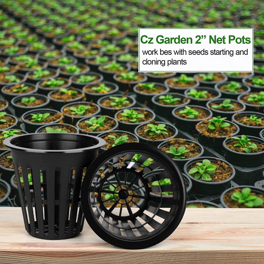 2 inch Tuin Kwekerij Potten Pl - Orchid Potting Mix recensie en prijs
