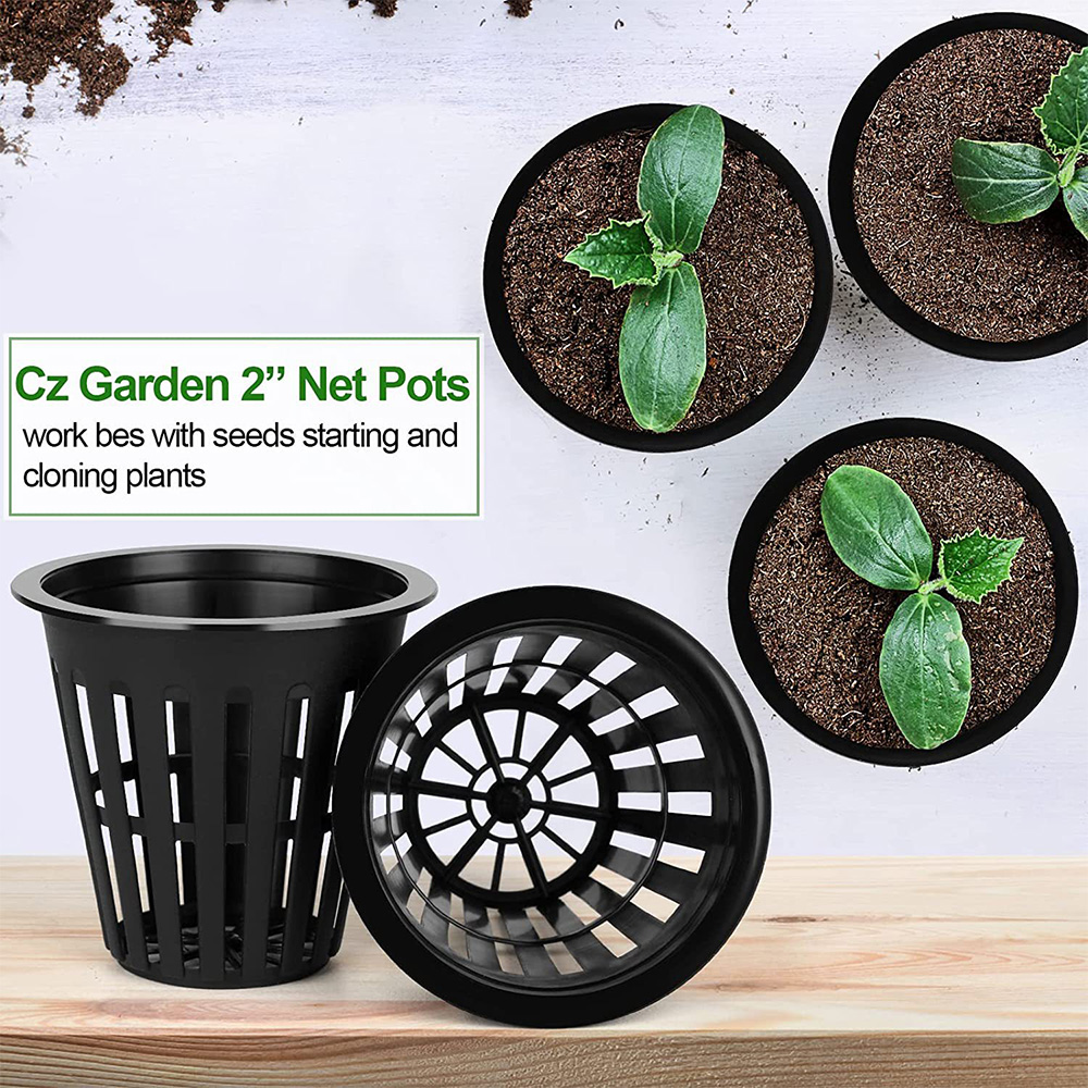 2 inch Tuin Kwekerij Potten Pl - Orchid Potting Mix recensie en prijs